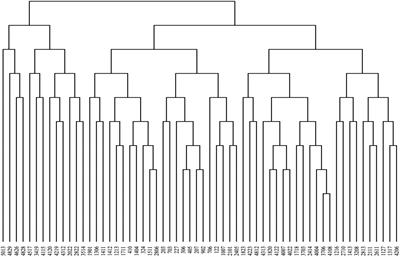 Carbon, nitrogen and phosphorus contents and their ecological stoichiometric characteristics in leaf litter from the Jianfengling Tropical Montane Rainforest